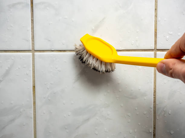 Best Residential Mold Remediation in Little Chute, WI
