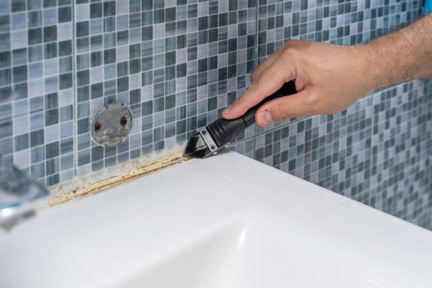 Best Post-Flood Mold Remediation in Little Chute, WI